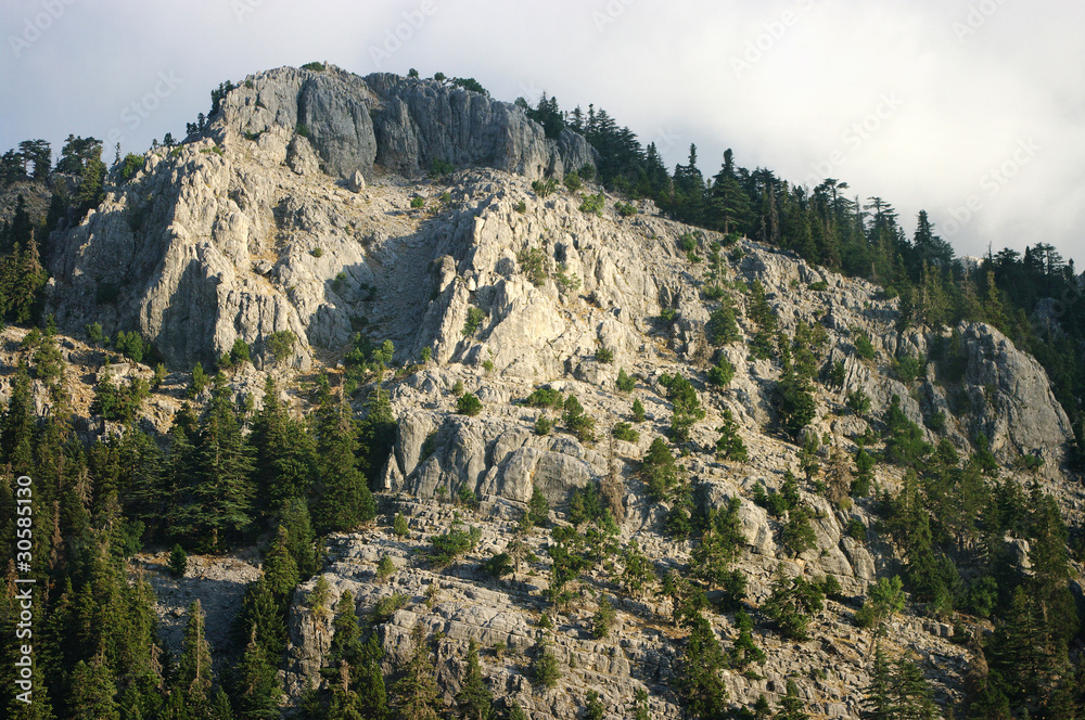 Big rocky mountain with forest Big rocky mountain with forest