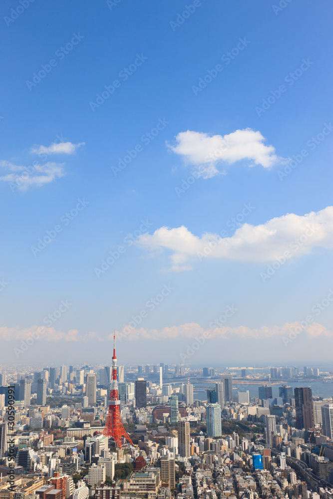 Obraz premium 東京タワー