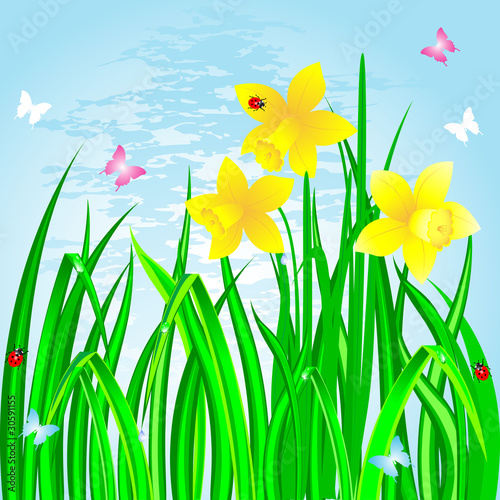 Spring.