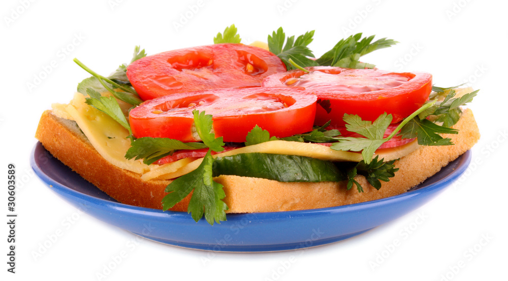 Sandwich  isolated on white