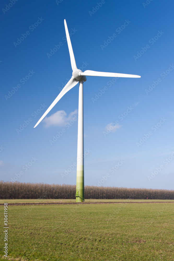 Windturbine in the grassland of Flevoland, the Netherlands Windturbine in the grassland of Flevoland, the Netherlands