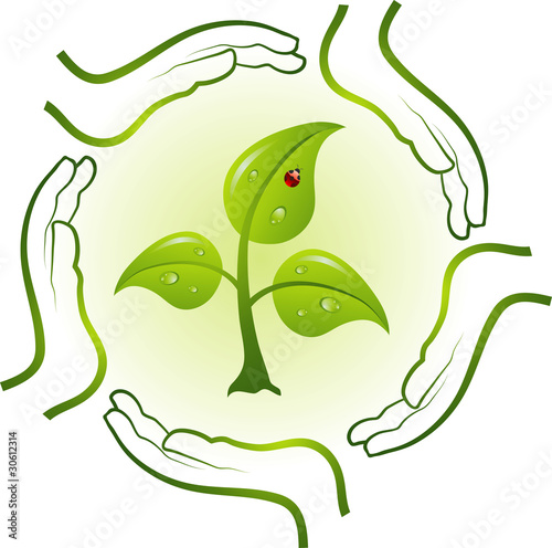Green life in hands, vector