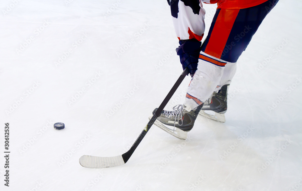 Fototapeta premium hockey player