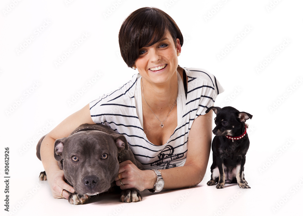 Woman with her dogs chihuahua and English Stafford Woman with her dogs chihuahua and English Stafford