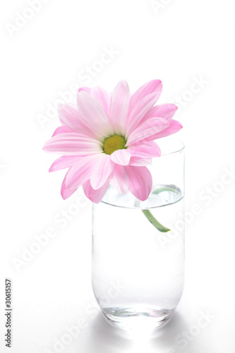 ピンクの花とグラス