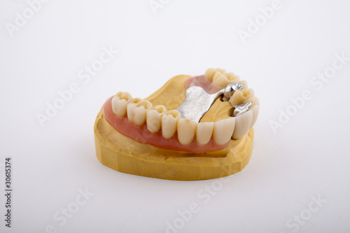 denture teeth