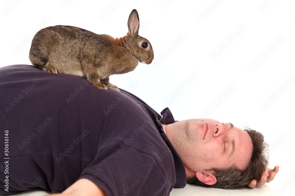 Naklejka premium Osterhase