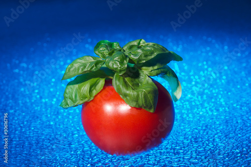 Gen-Manipulierte Tomaten photo