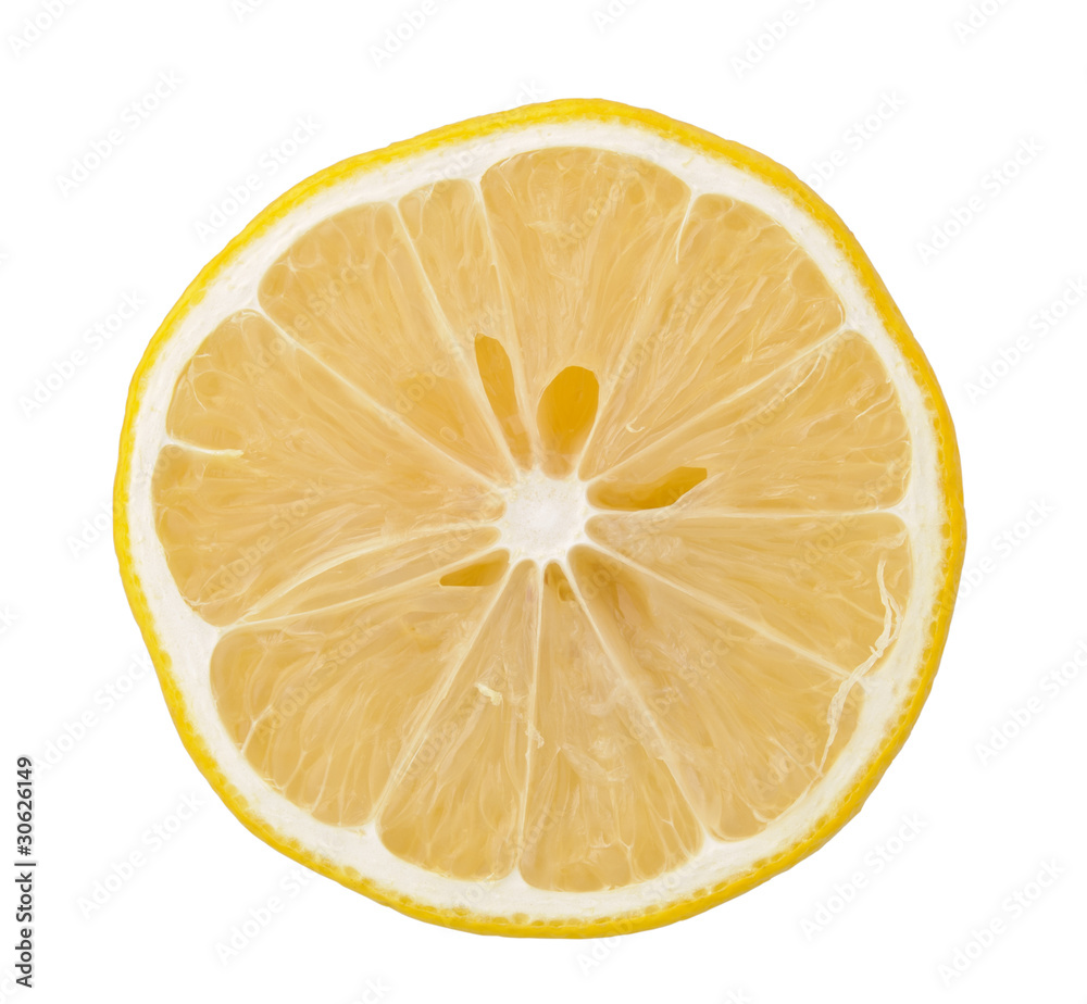 lemon slice lemon slice