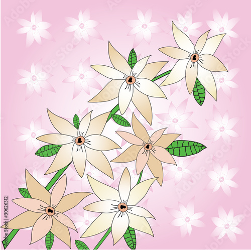 sacura flowers