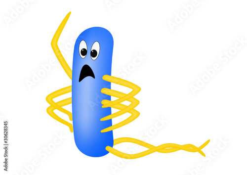 E. Coli