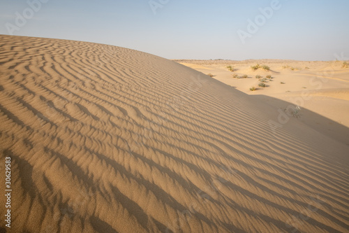 Sand Dune Waves Desert