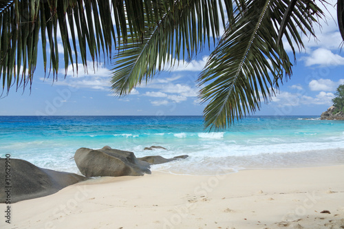 paysage de rêve sous les cocotiers : les Seychelles