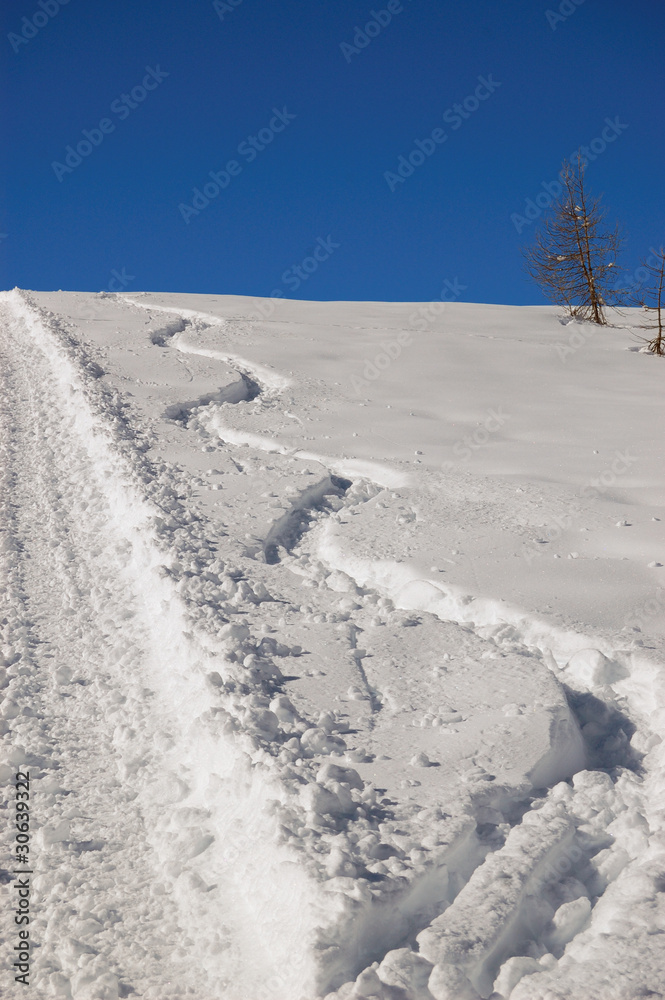 Ski Tracks In The Snow Ski Tracks In The Snow