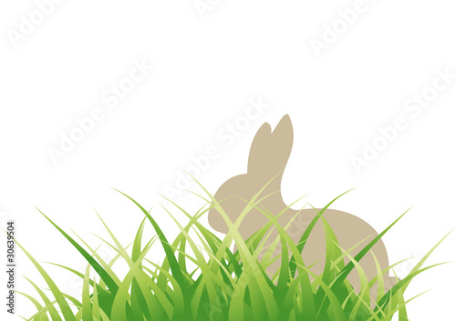 Hase im Gras