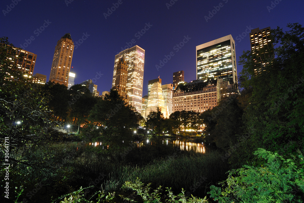 Fototapeta premium Central Park at Twilight