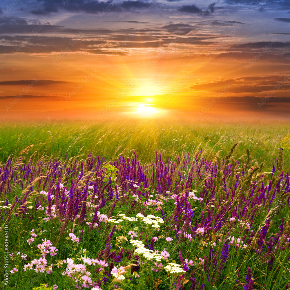 Fototapeta premium Sunset in steppe