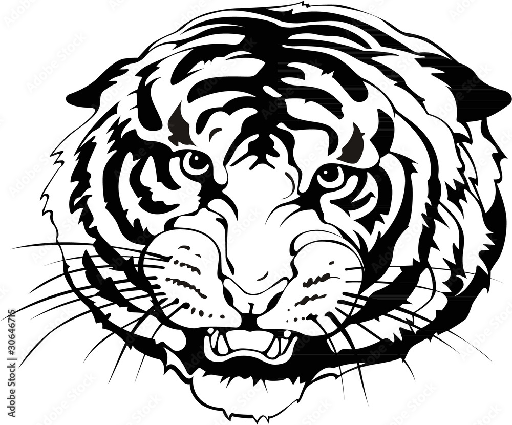 Obraz premium Tiger's head