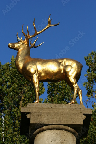 Golden Deer