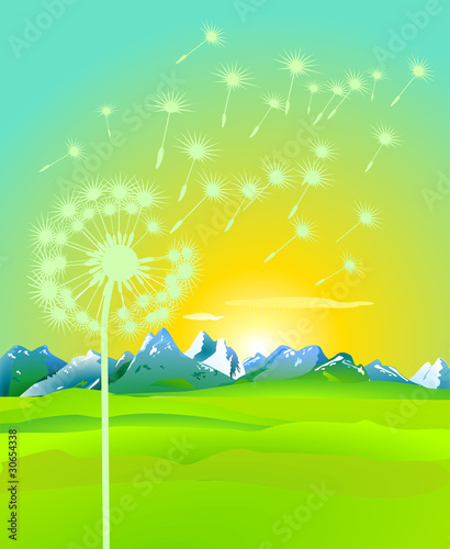 Pusteblume Landschaft