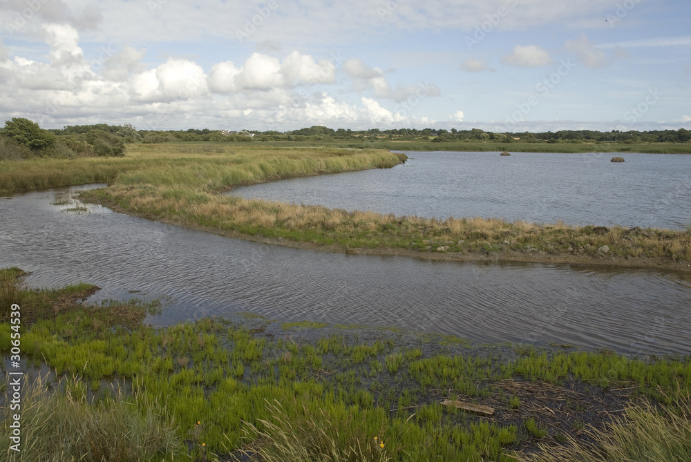 Marais de Pen Mané, Site Natura 2000, Locmiquélic, 56 Marais de Pen Mané, Site Natura 2000, Locmiquélic, 56