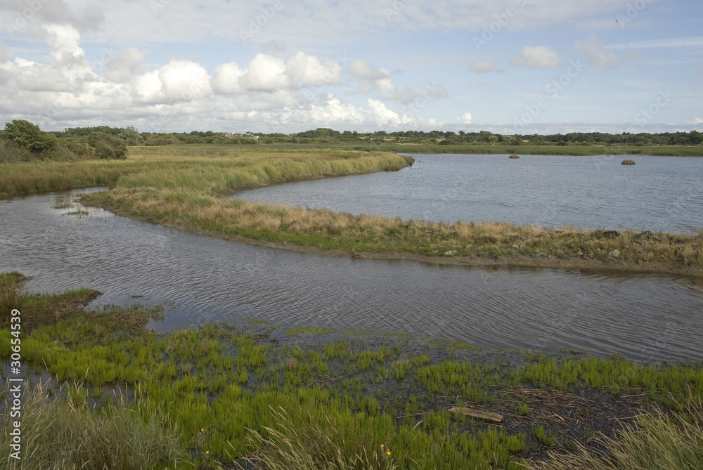 Marais de Pen Mané, Site Natura 2000, Locmiquélic, 56