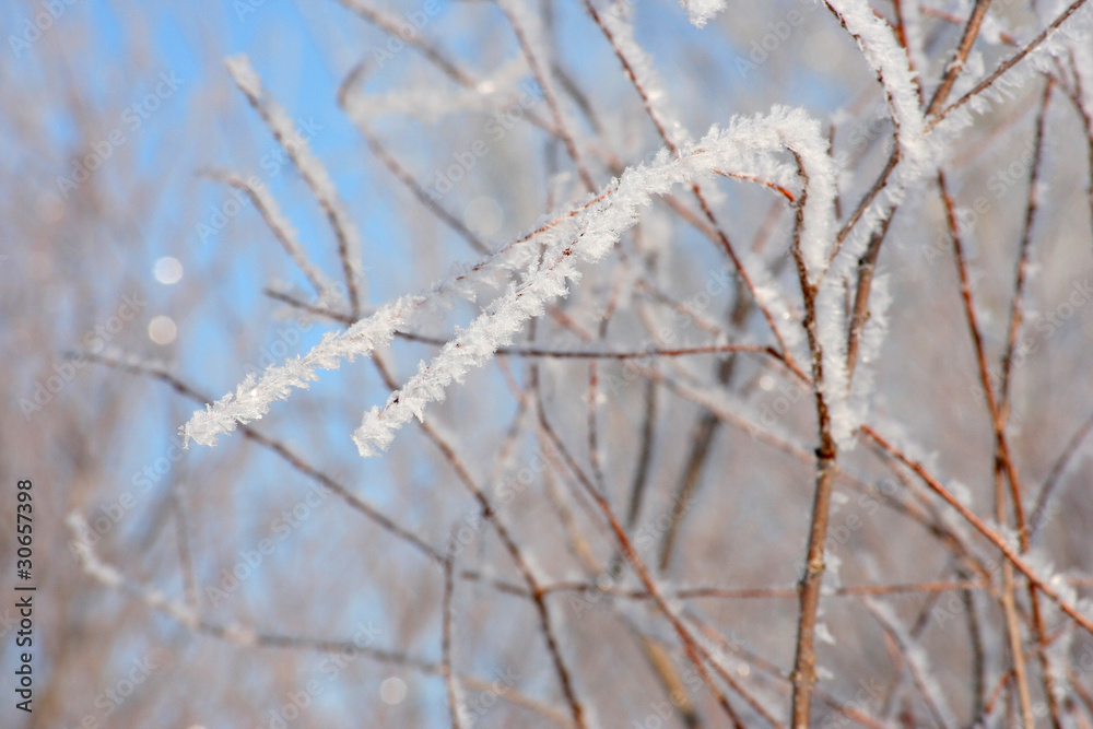 Frost formations in the morning