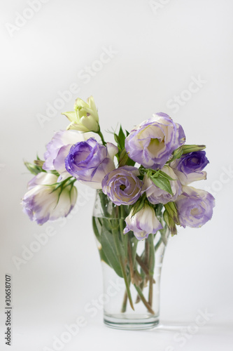 Flowers in vase