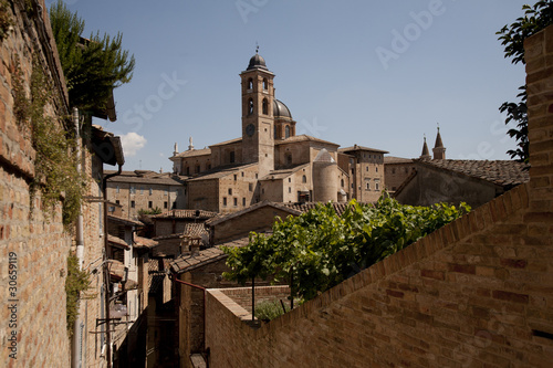 Urbino, Palazzo Arcivescovile photo