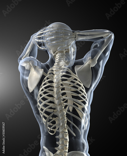 Human Body Medical Scan back view
