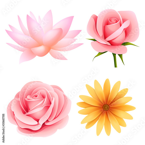Fototapeta Naklejka Na Ścianę i Meble -  Vector flowers set of rose, lotus, daisy isolated on white