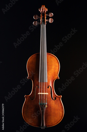 Obraz na plátně Classical violin - isolated