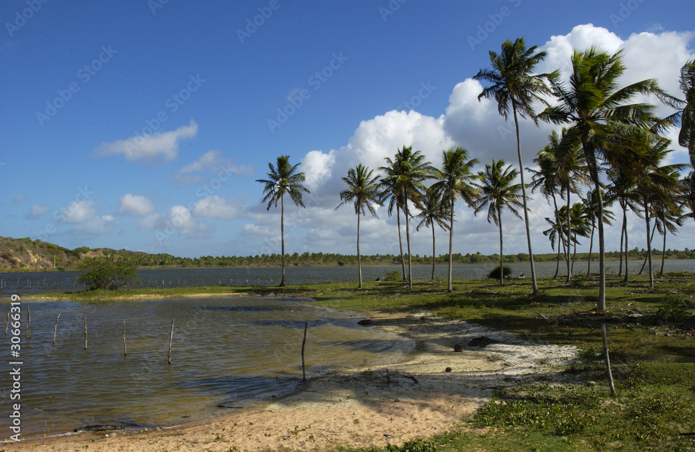 Brasil, Rio Grande do Norte,  lagoon and palm trees