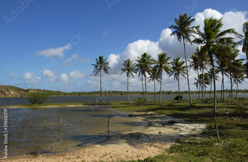 Brasil  Rio Grande do Norte   lagoon and palm trees