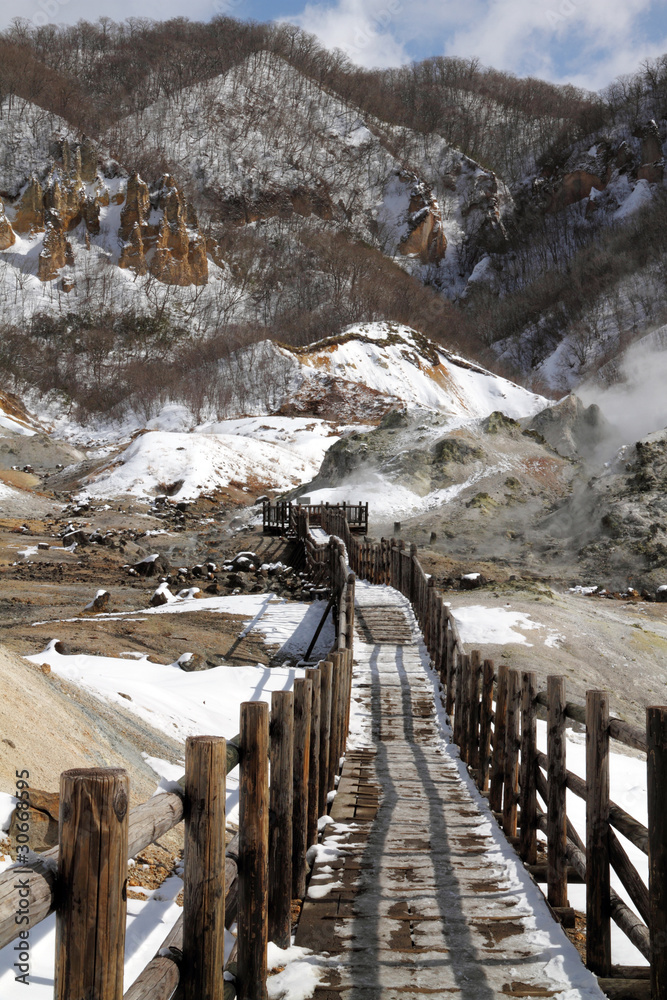 wooden trail