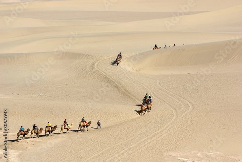 Camel train in desert