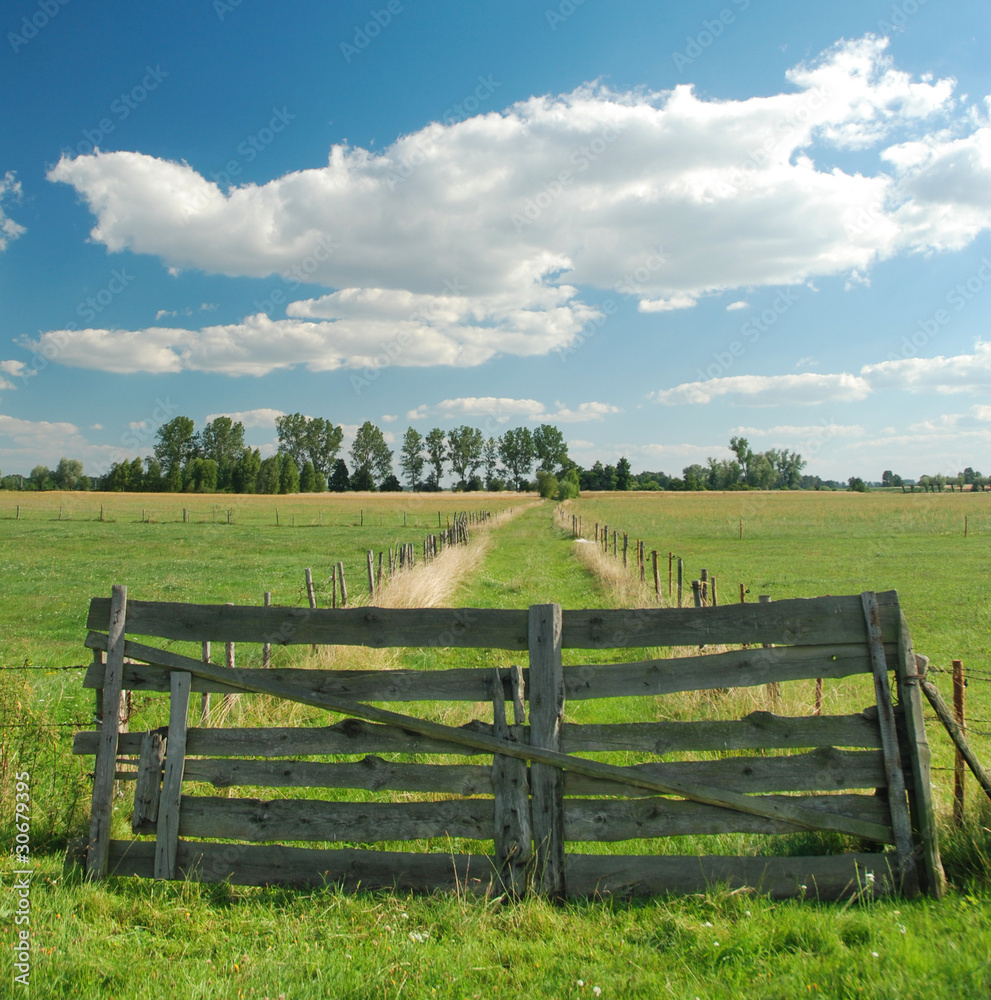 countryside