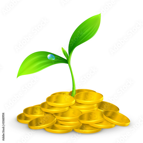 Plant and coins