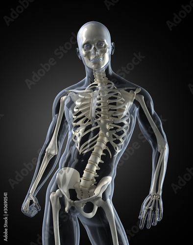 Human Body skeleton Scan