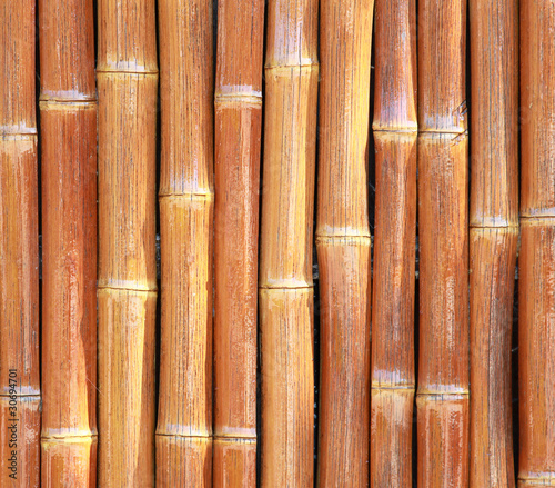 Photographie bamboo sticks