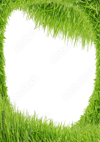 Green grass as a framework on a white background
