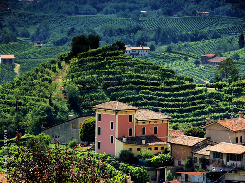 colline del prosecco in provincia di treviso photo