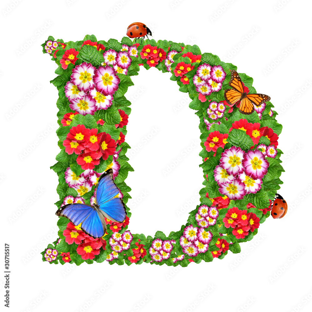 alphabet of primrose with butterfly and ladybug