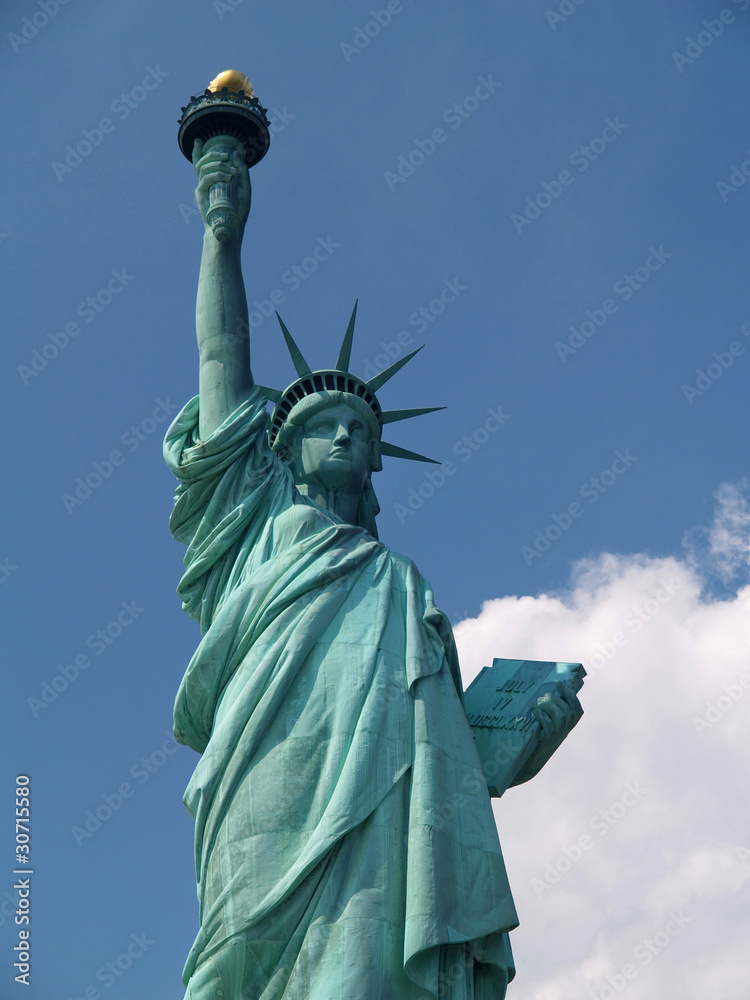 Fototapeta premium Statue of Liberty