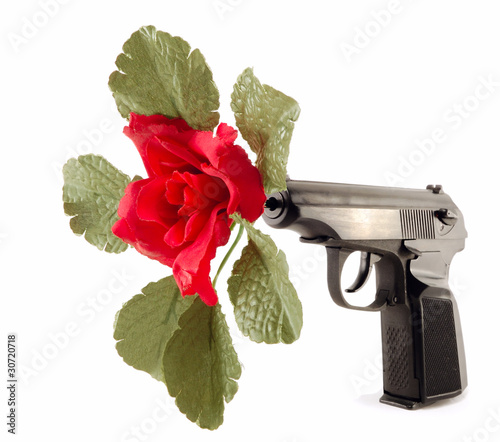 flower in the barrel of the gun photo