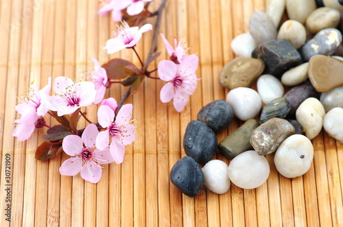 cailloux et fleurs zen