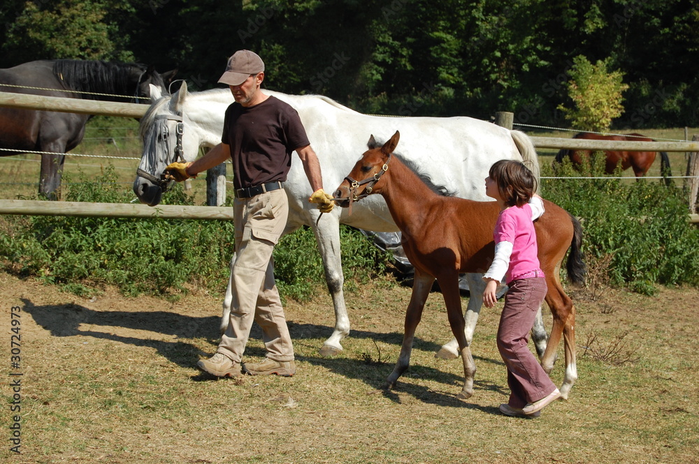 jument et son poulain avec son propriétaire et sa fille jument et son poulain avec son propriétaire et sa fille