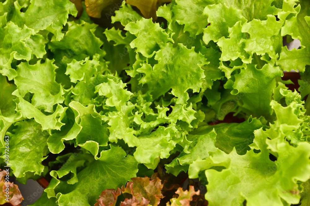 Natural texture Natural texture