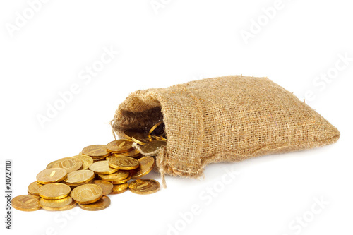 Bag with gold coins