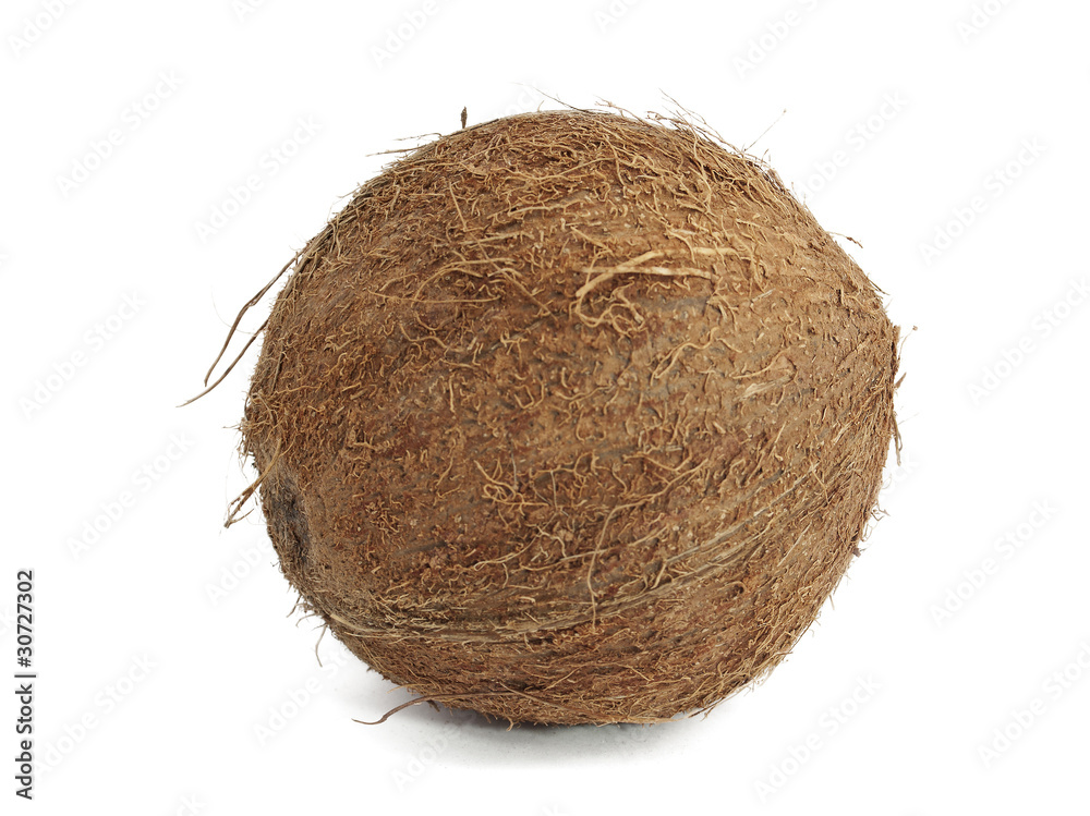 coconut